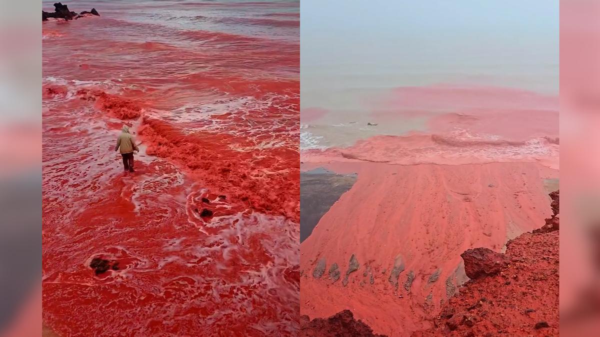Cascada de sangre en una playa de Irán