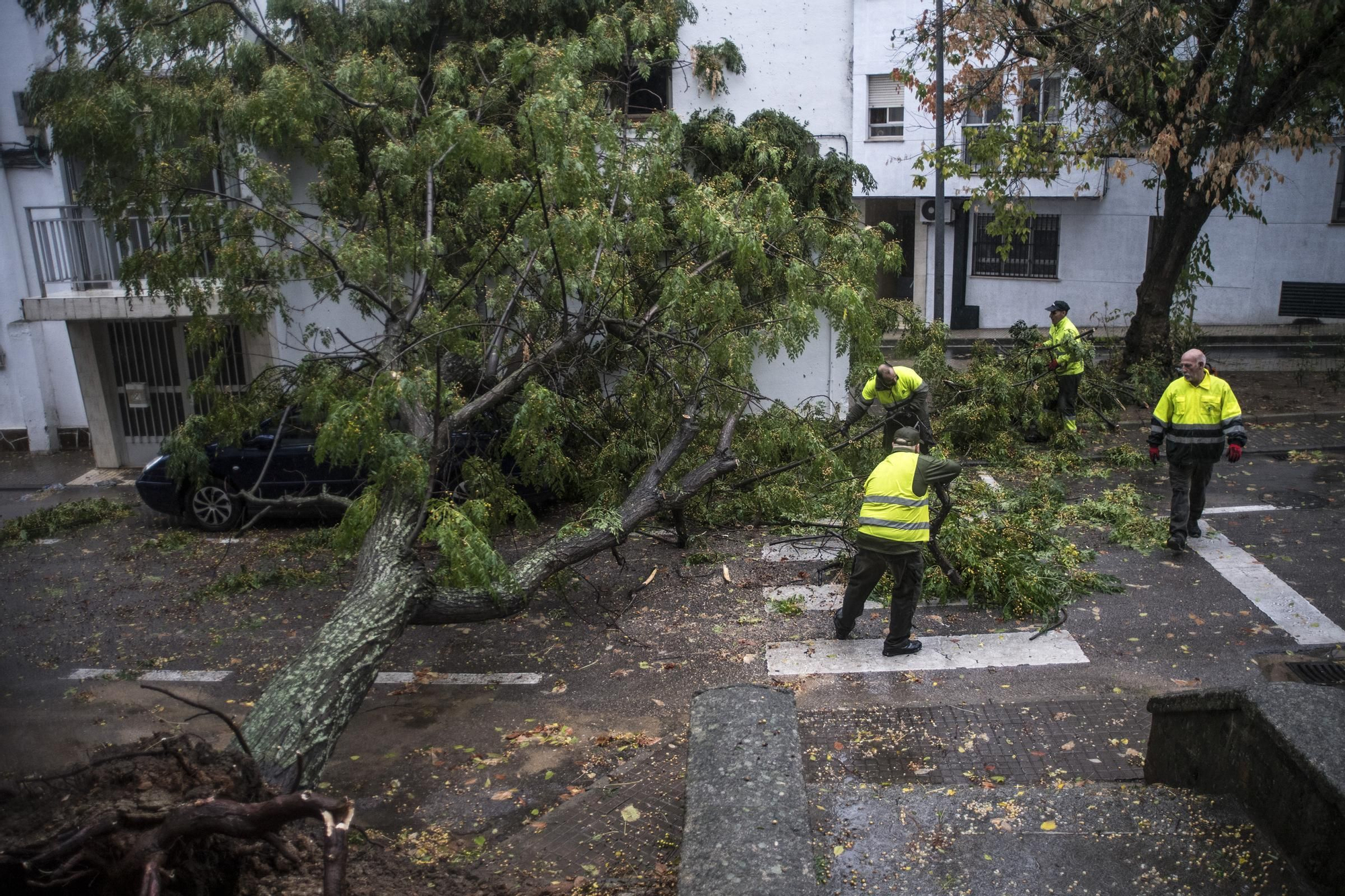 Fotogalería | Así afecta el temporal de lluvia y viento en Cáceres