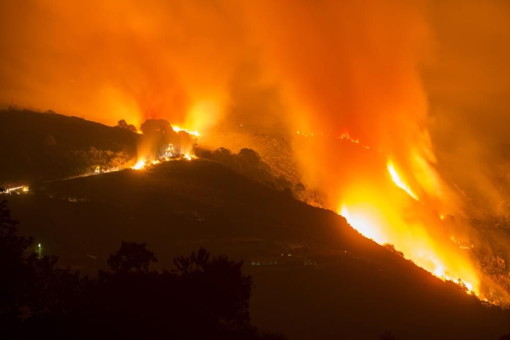 La oleada de incendios azota Ourense - La conselleira de Medio Rural denuncia la elevada actividad incendiaria de este fin de semana, con más de 20 focos en la provincia. El fuego de Trives, con 164 h