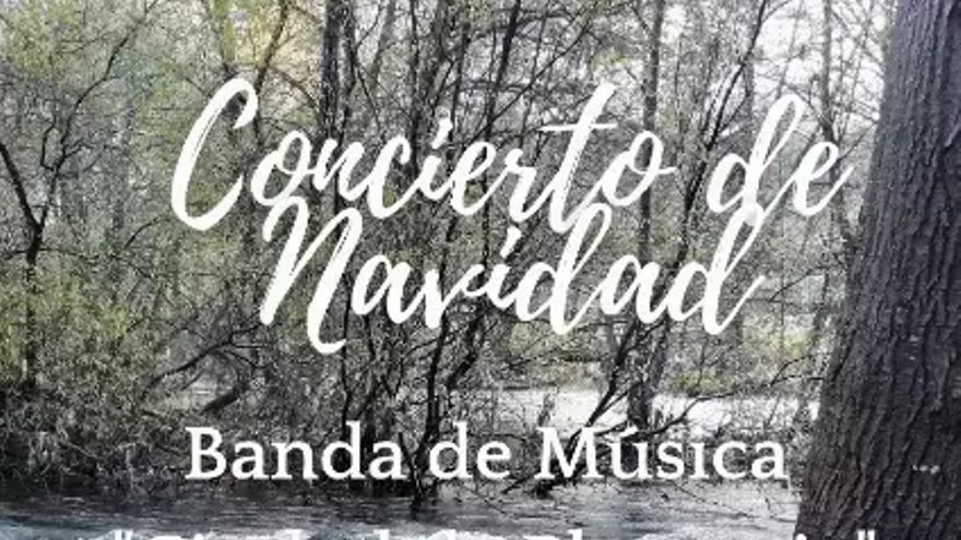 Concierto de Navidad