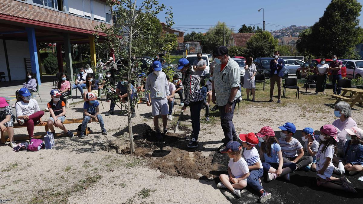 Vivero del CEIP Valle-Inclán.