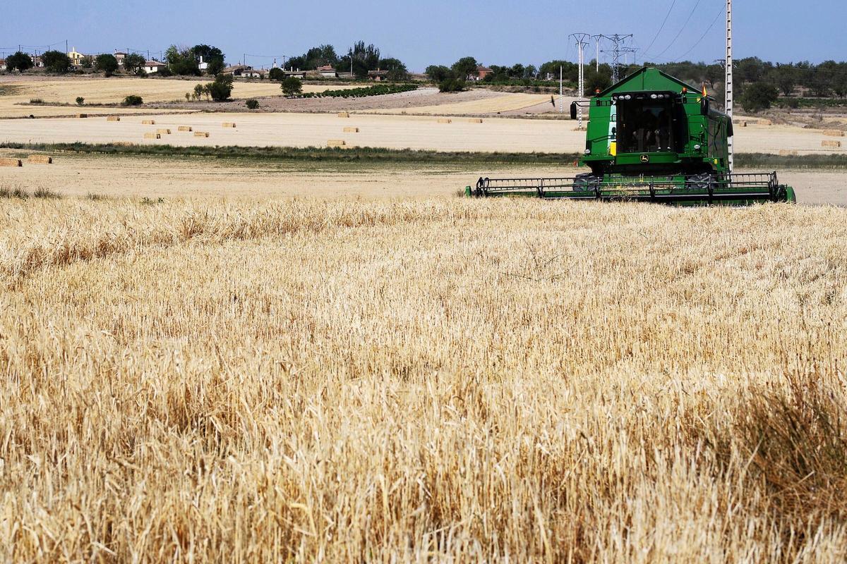 Castilla y León ha perdido 1.500 granjas de ganado extensivo en los últimos quince años.