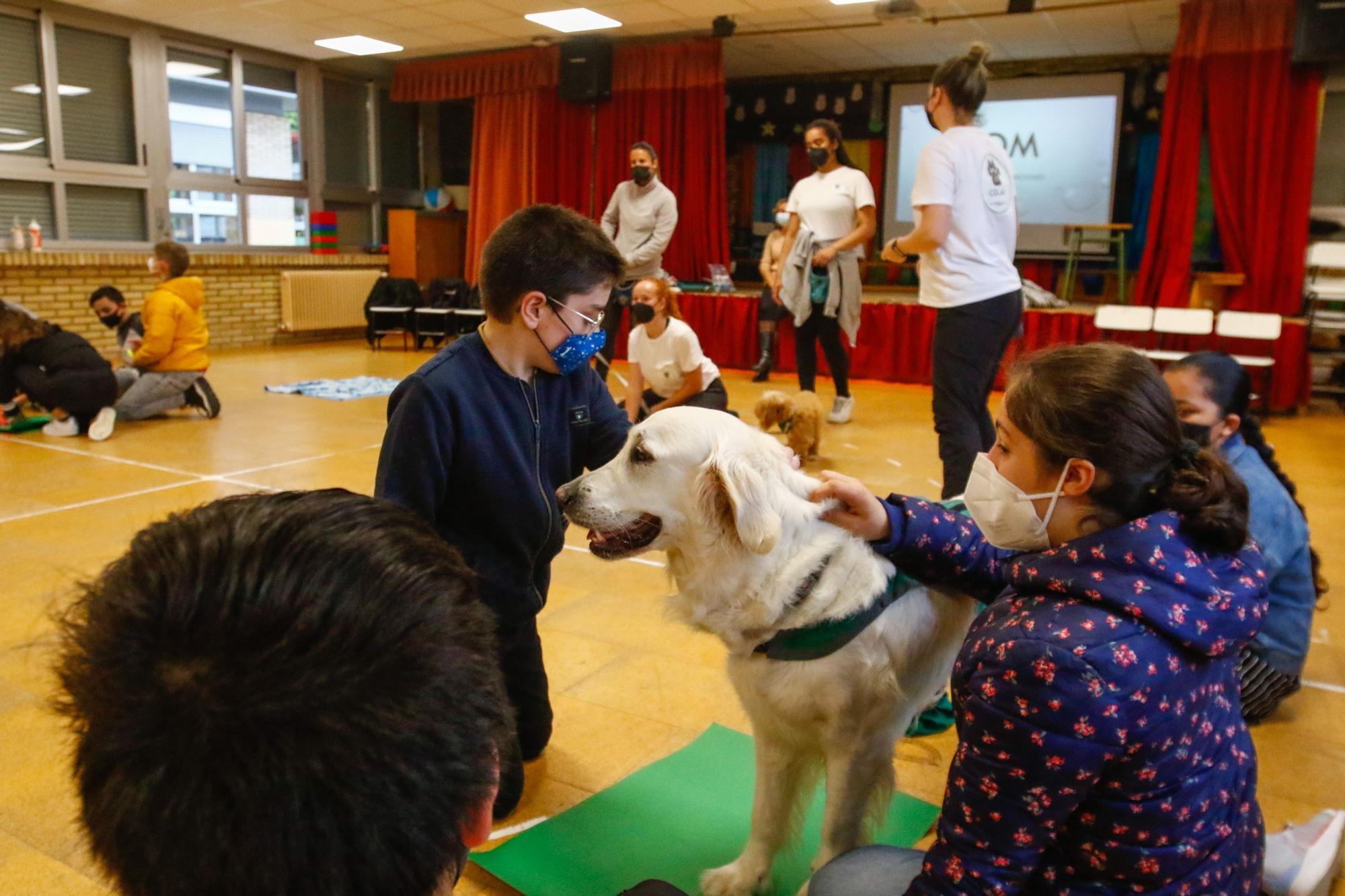 Los alumnos del Arealonga aprenden valores con "profes" caninos