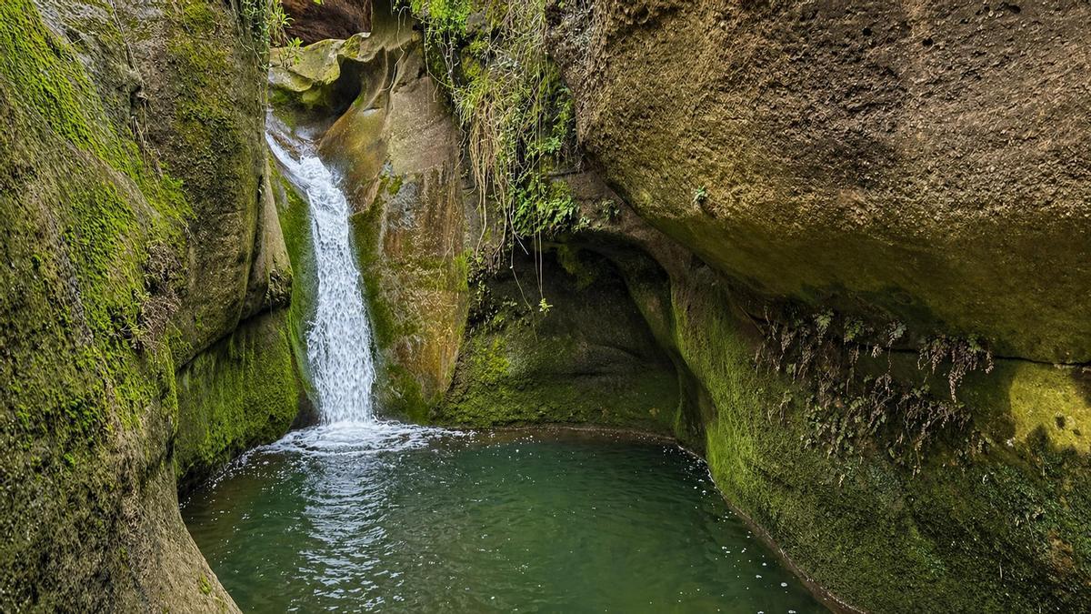 El Gorg de la Mola, en los alrededores de Pallejà.