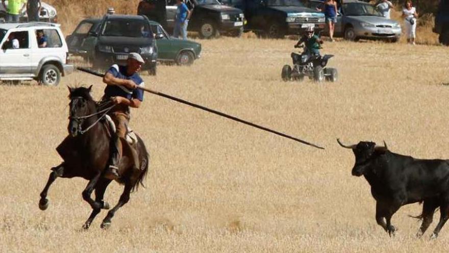 El caballista trata de llamar la atención del bóvido.