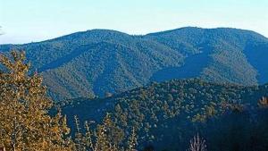 Parc del Montnegre