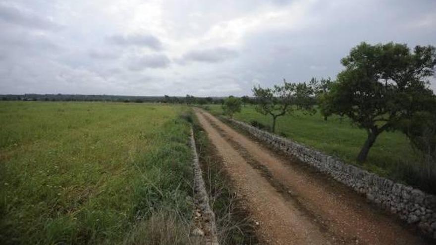 Una vista general de la finca de Son Baco, en el municipio de Campos, donde se proyecta el campo de golf.