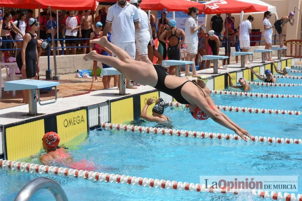 Final del Campeonato regional de natación.