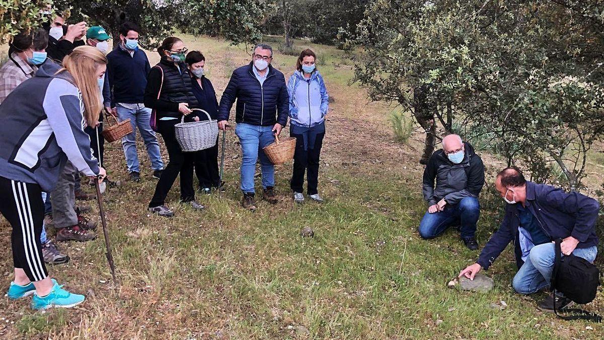 Varias personas participan en una actividad micológica.