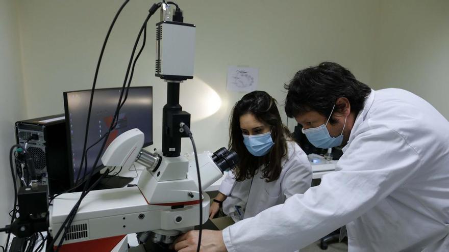 La Fe se sitúa como cuarto hospital de España con mayor número de Unidades de Referencia Nacional