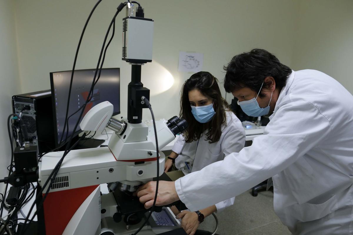 Investigadores del Instituto de Investigación Sanitaria de La Fe.