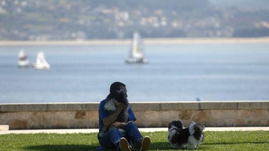 Una persona con sus mascotas en un parque de Sada.