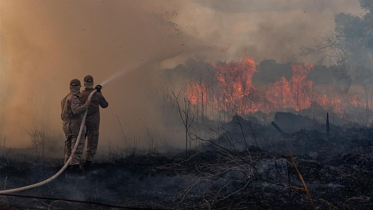 Unos bomberos trabajan en las labores de extinción del fuego en el estado amazónico de Mato Grosso, en Brasil, el pasado 26 de agosto.