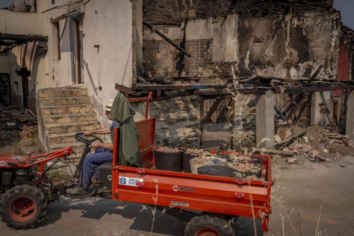 El foc, desbocat a Galícia: en un dia 10.000 hectàrees