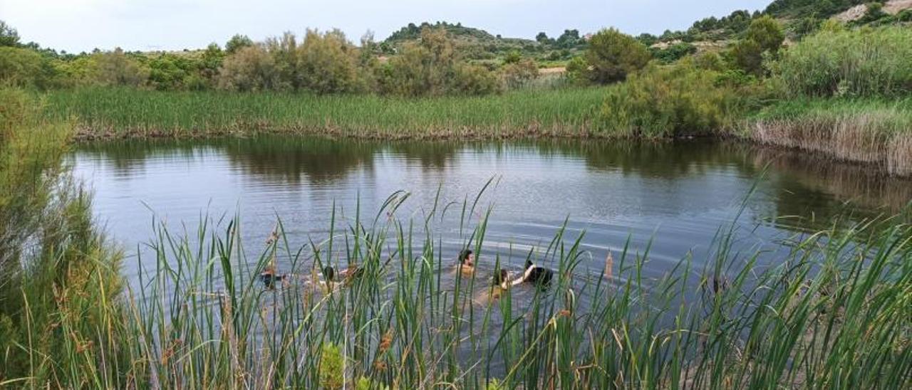 Una vista de la laguna de Montserrat. | AGRÓ