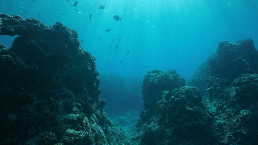 Imagen del fondo marino en el océano Pacífico.