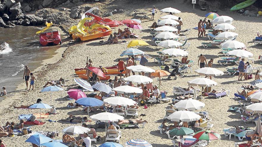 Vista aérea de la playa de Cala Llenya, completamente llena de sombrillas y hamacas.