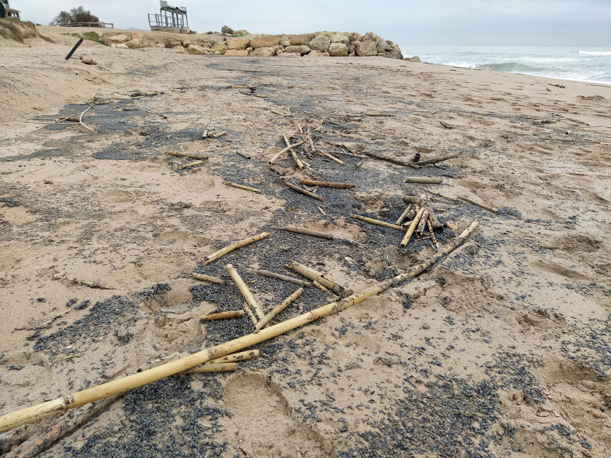 El temporal arrasa la playa de Tavernes