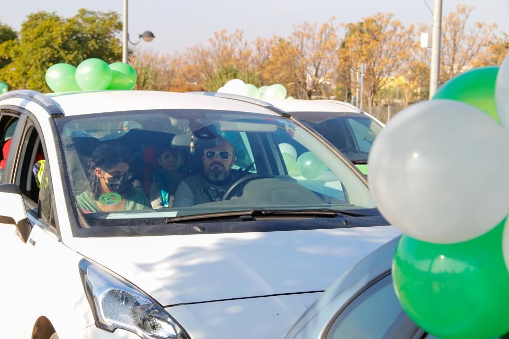 Una marcha teñida de verde y blanco para defender "el bien común"