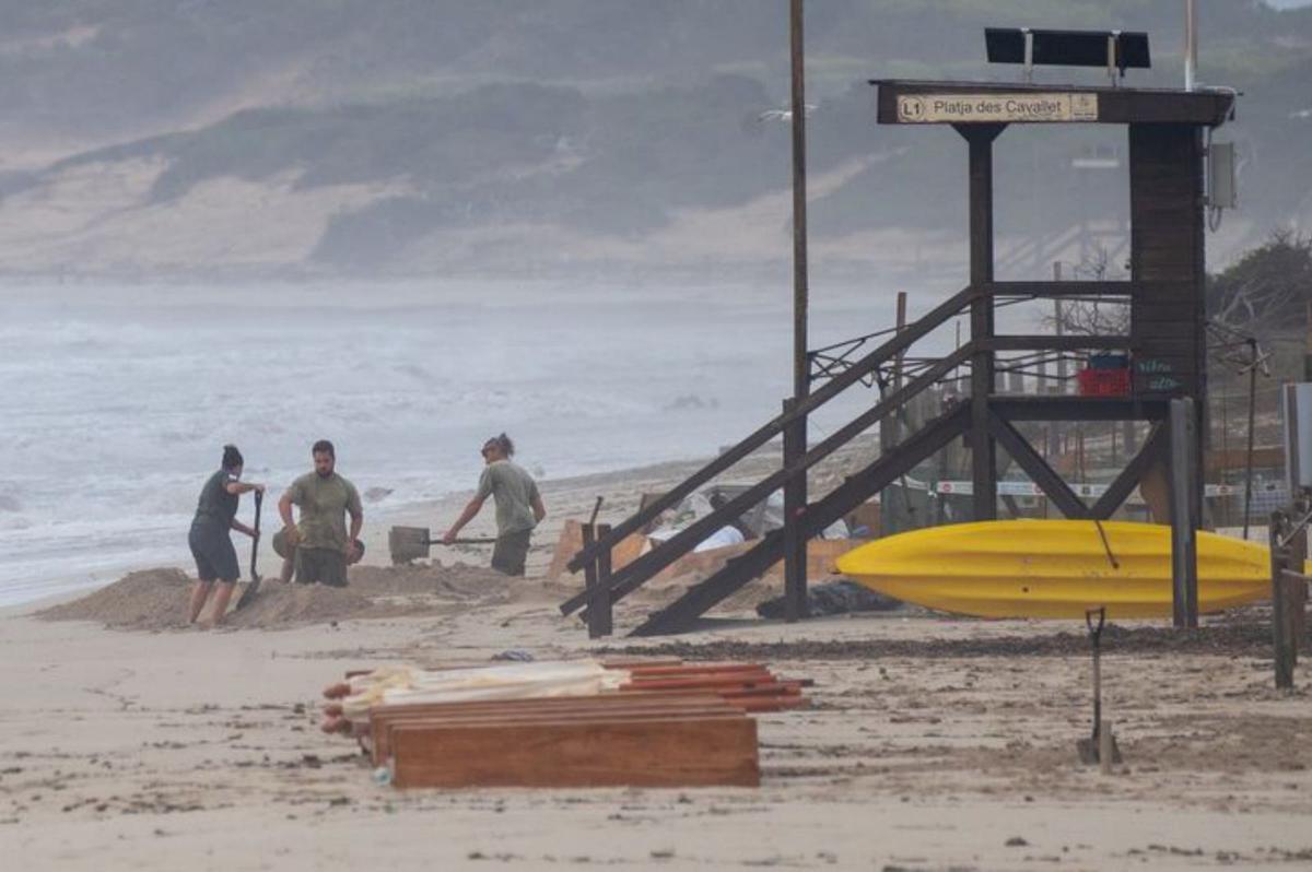 La lucha para evitar que el temporal acabe con el nido de tortugas
