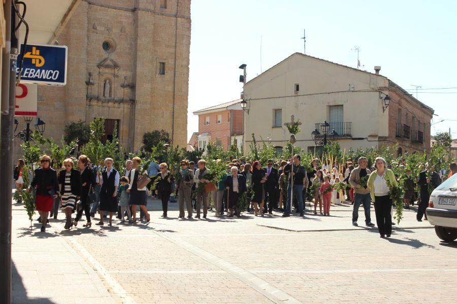 Semana Santa en Zamora: Domingo de Ramos en Fuente