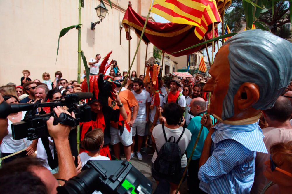 Felanitx celebra Sant Agustí: el Cosso, protagonista