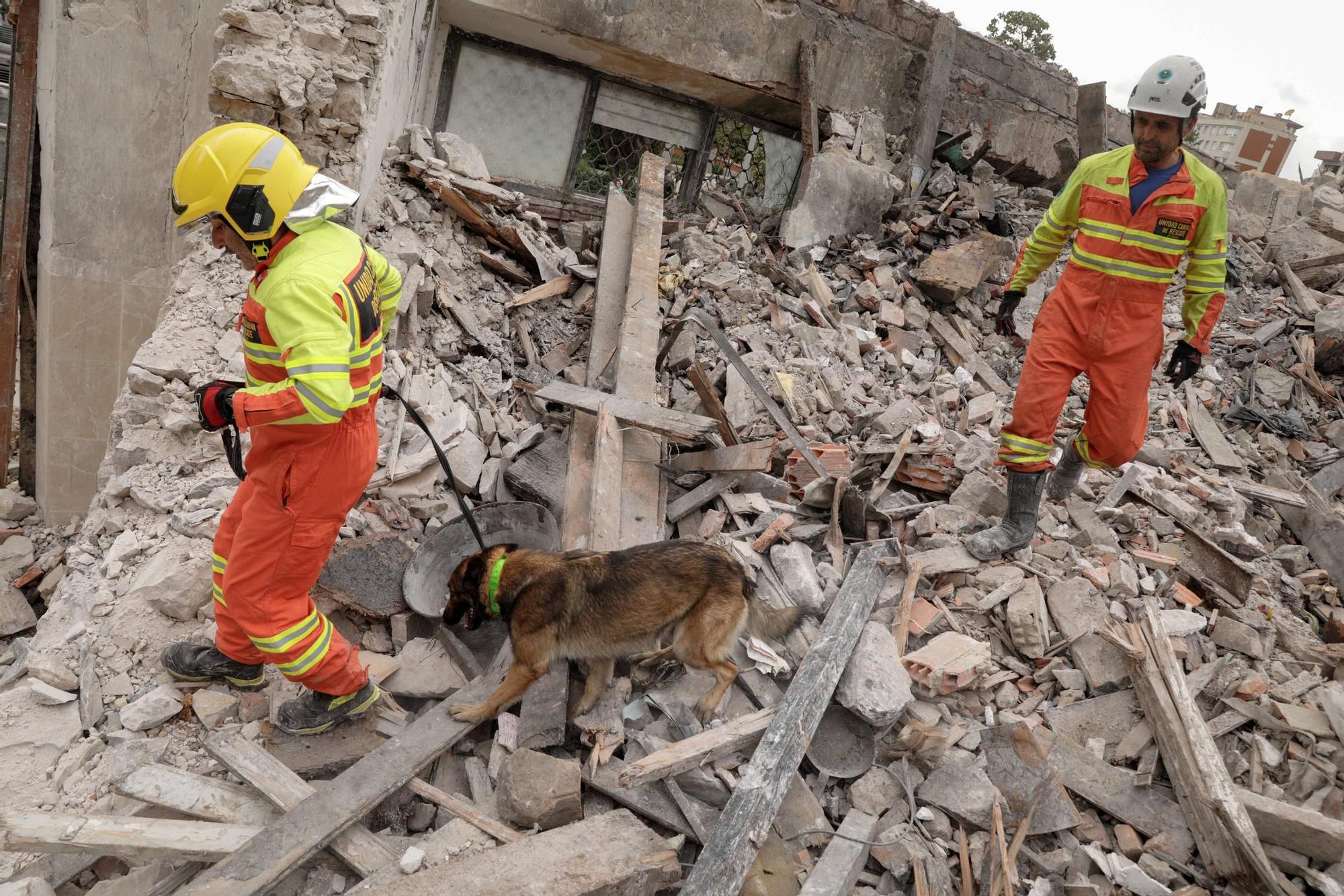 El entrenamiento de la Unidad Canina de Rescate del Principado en Gijón, en imágenes