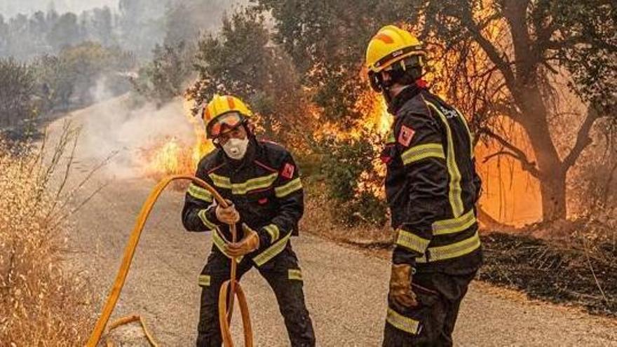 Bomberos del Consorcio de Alicante este lunes en la extinción del fuego
