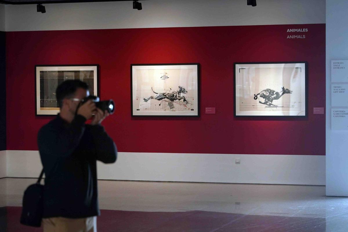 Presentación de la exposición 'Vladimir Velickovic. Huida, vértigo y caída' en el MEET Málaga
