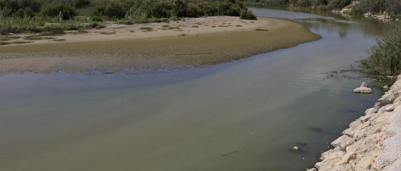 Un caudal constante y eliminar las pozas evitaría el mal olor en el tramo final del Serpis