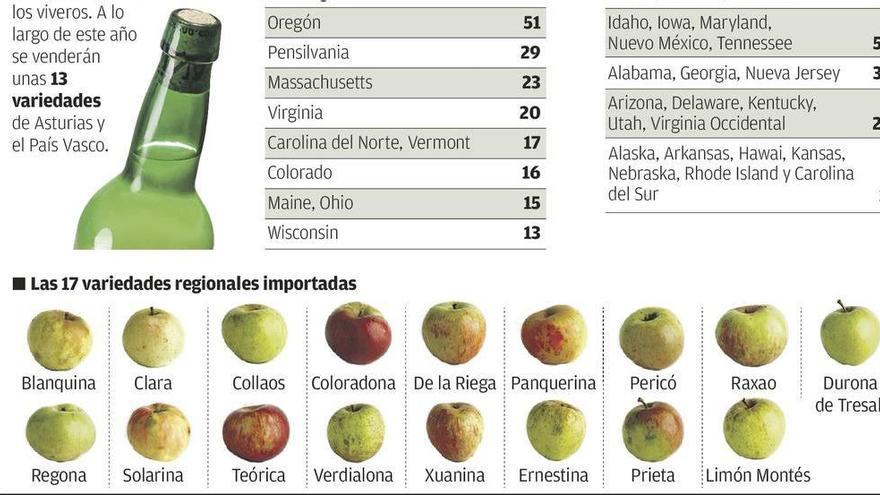 EE UU ya cultiva manzana asturiana para elaborar sidra igual que la del Principado