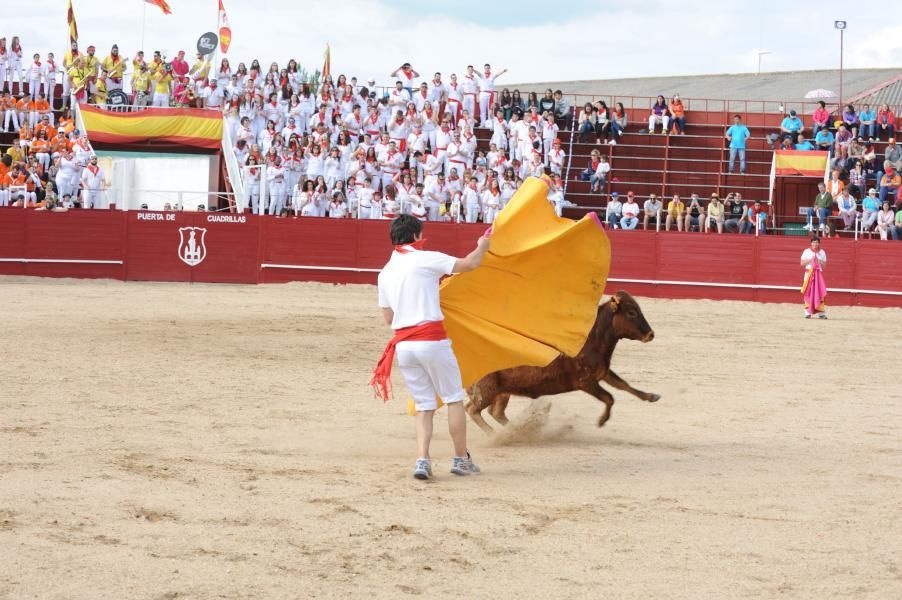 Becerrada, encierros y vaca de la sangría