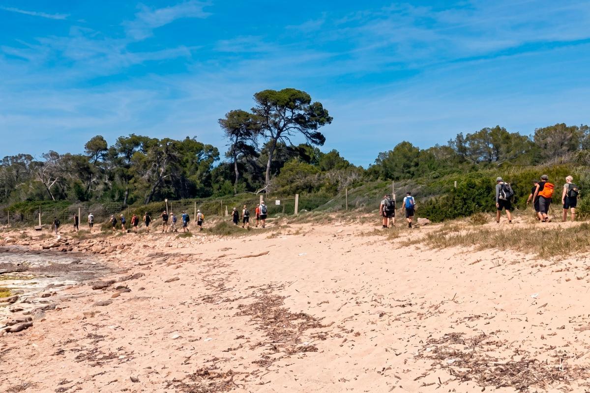 El grupo organizado de unos 25 turistas, andando por la playa
