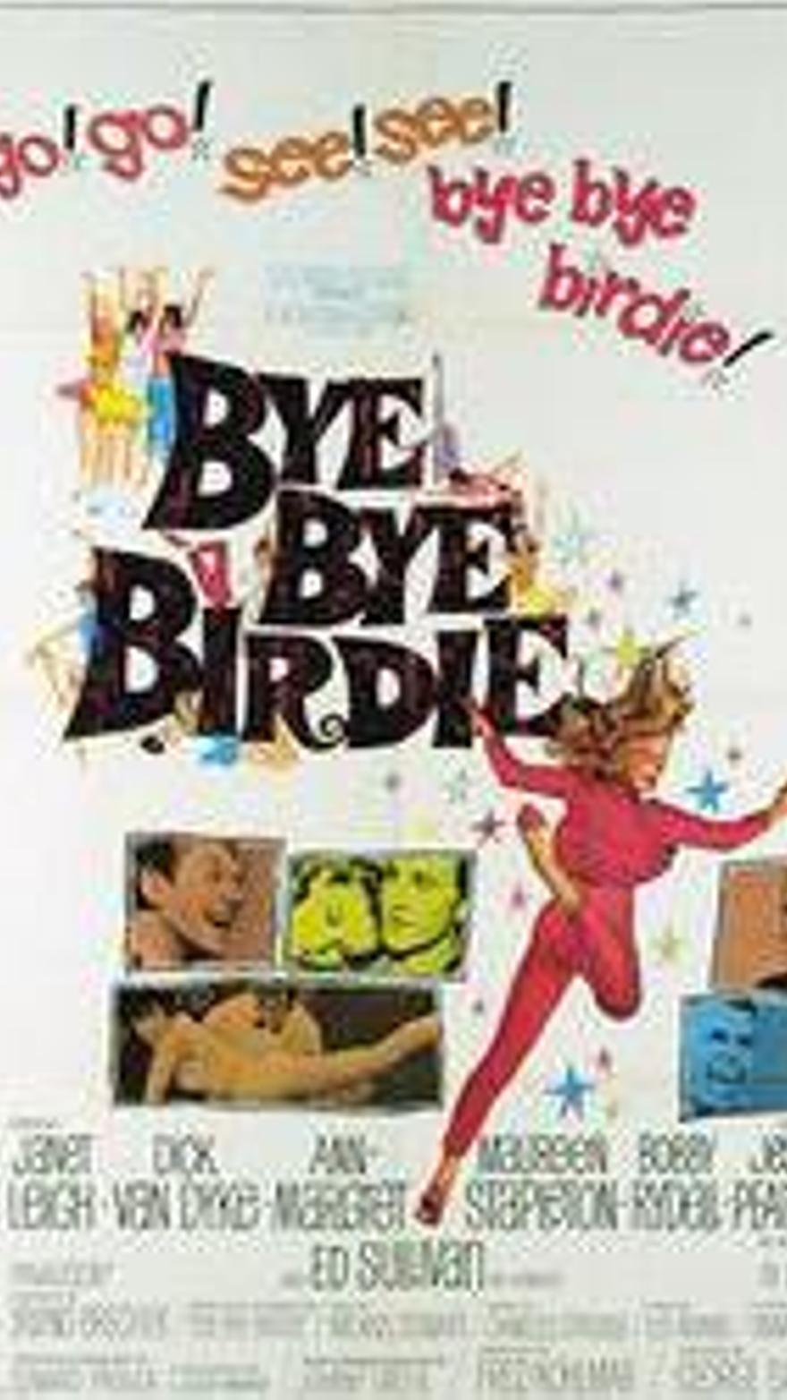 Bye Bye Birdie