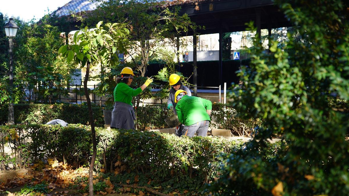 Trabajos en el Jardí del Bes de Xàtiva.