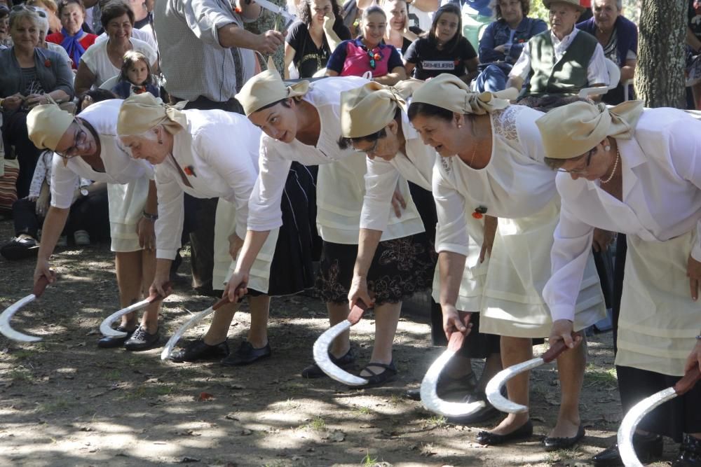 Día Mundial del Alzheimer en Moaña