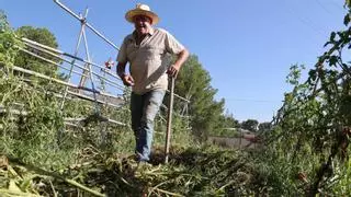 El placer de comer lo que uno siembra en Alcoy