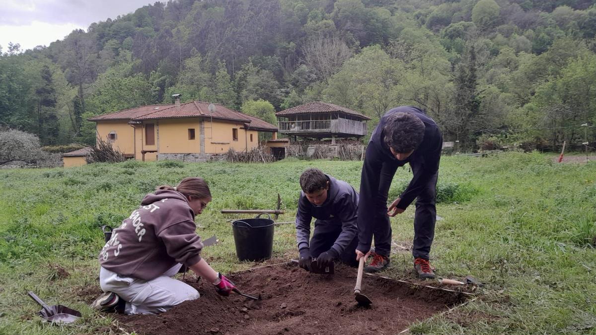 Alumnos del colegio de Belmonte de Miranda en el trabajo arqueológico de la finca el &quot;Convento&quot;.