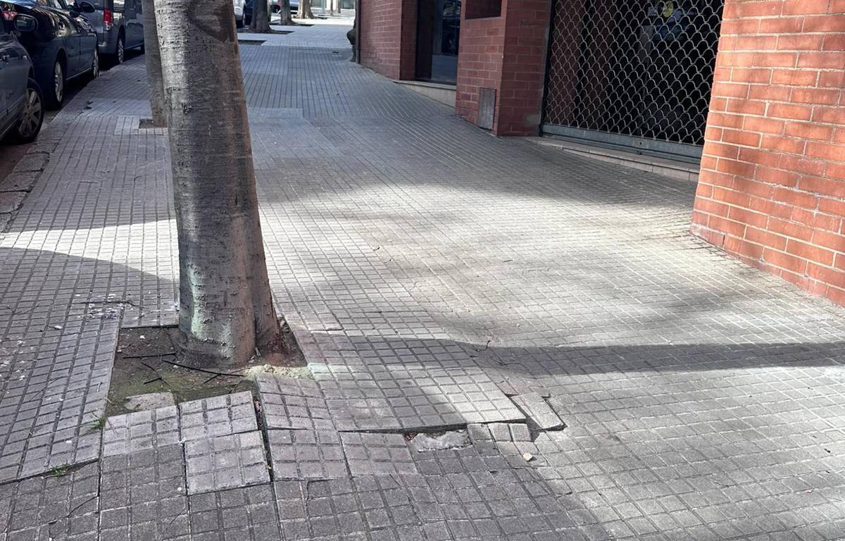 Desperfectes al voltant d'un escocell a la carretera de Sant Fruitós