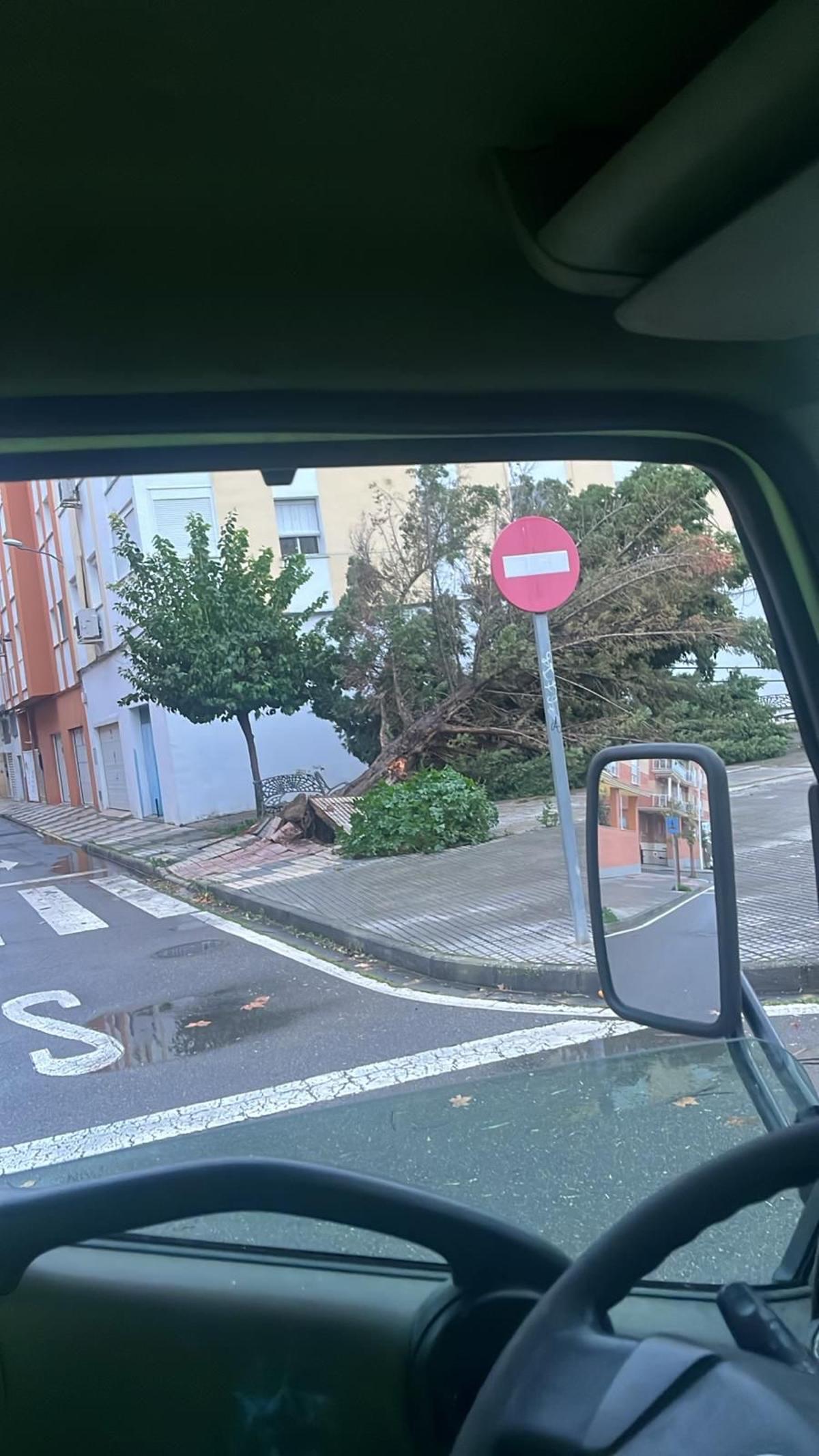 Daños causados por el vendaval.