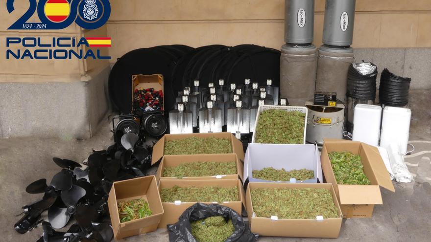 Tres detenidos tras el hallazgo de una plantación interior de marihuana en Salamanca