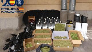 Tres detenidos tras el hallazgo de una plantación interior de marihuana en Salamanca