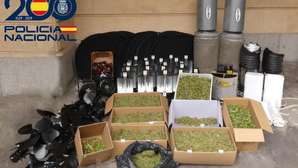 Marihuana incautada por la Policía Nacional a tres hombres detenidos en Salamanca.