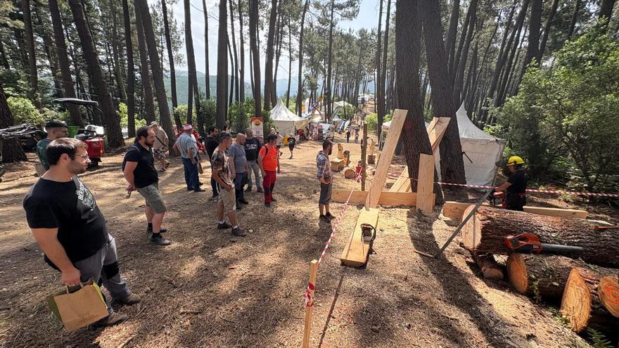 Éxito de la feria forestal de Tineo Asturforesta: más de 9.000 visitantes y récord de presencia de marcas