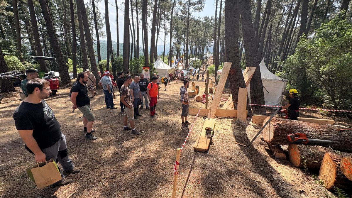 Ambiente en Asturforesta.