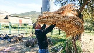 Préstamos sin interés, primera medida de la Junta de Extremadura por los efectos de la sequía en el campo