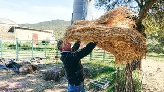 Préstamos sin interés, primera medida de la Junta de Extremadura por los efectos de la sequía en el campo