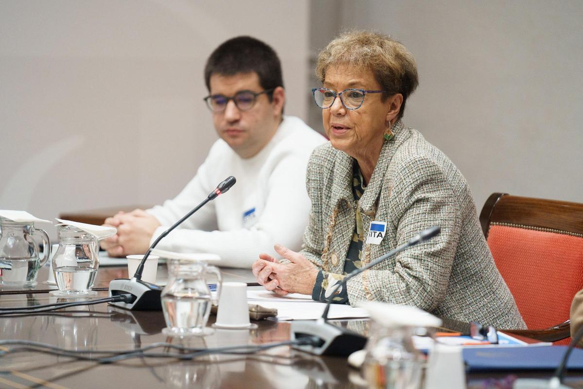 La presidenta del Consejo Escolar de Canarias durante su comparecencia ante lo grupos parlamentarios.