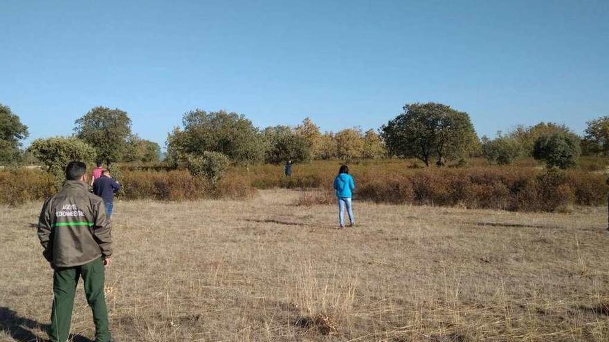 Empresarios interesados en la limpieza de montes visitan la zona con agentes medioambientales.