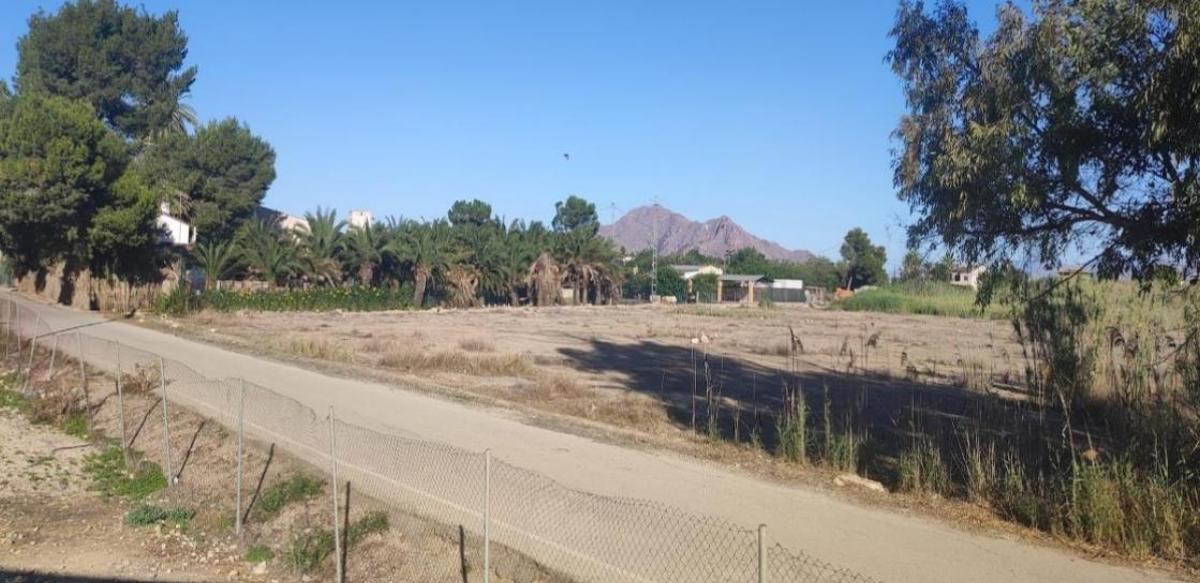 Una de las zonas de huerta, urbanizables desde 2023, afectadas por el proyecto